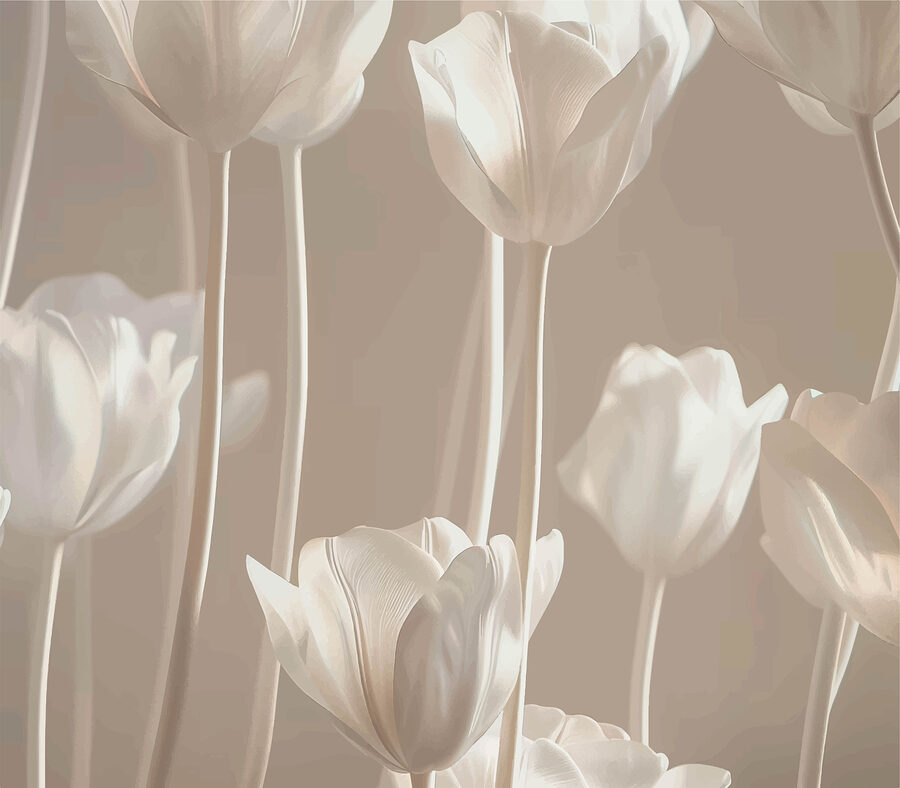 Groep witte bloemen