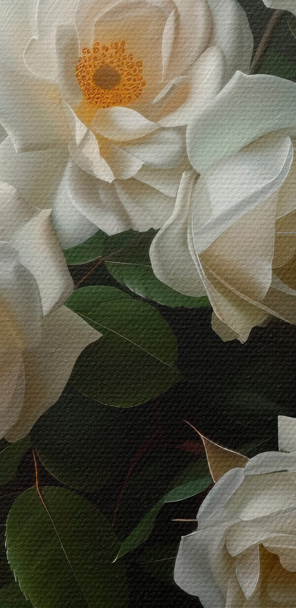 Close-up van een witte bloem Close-up van een witte bloem