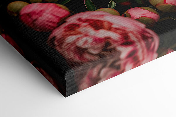 Groep roze bloemen Groep roze bloemen