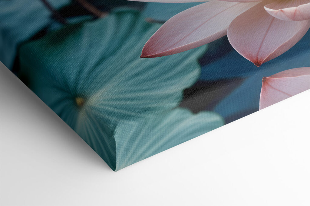 Pink and white flowers on a lake