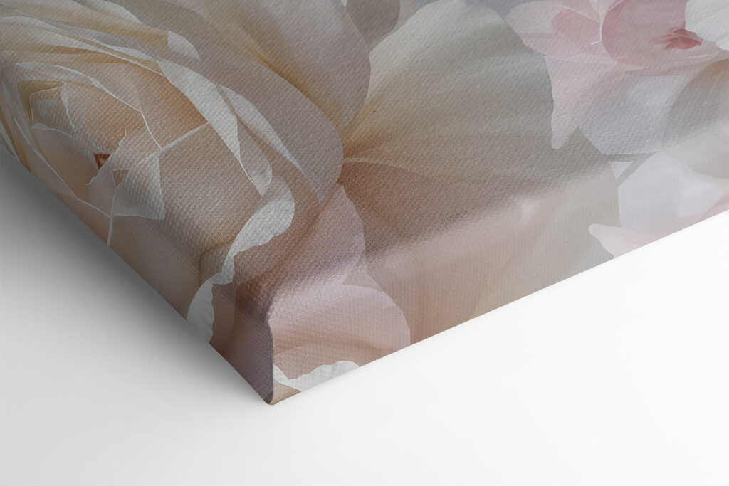 Close up of flowers Close up of flowers