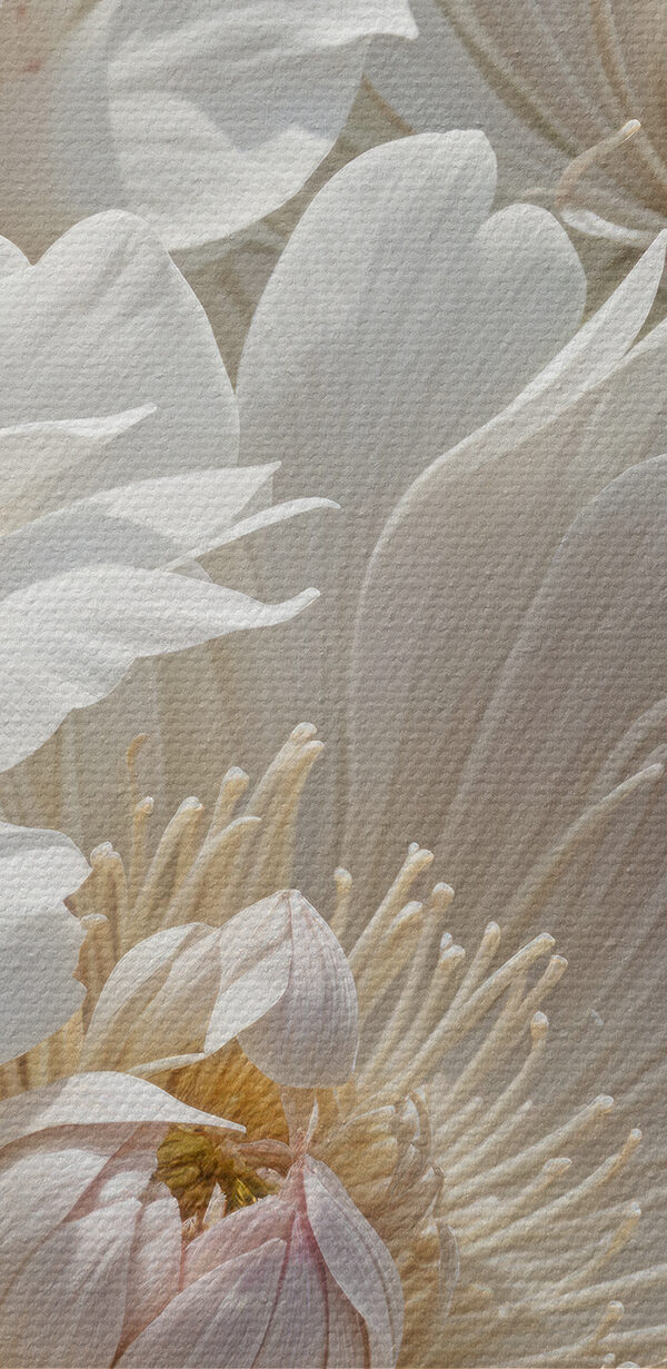Groep witte bloemen Groep witte bloemen