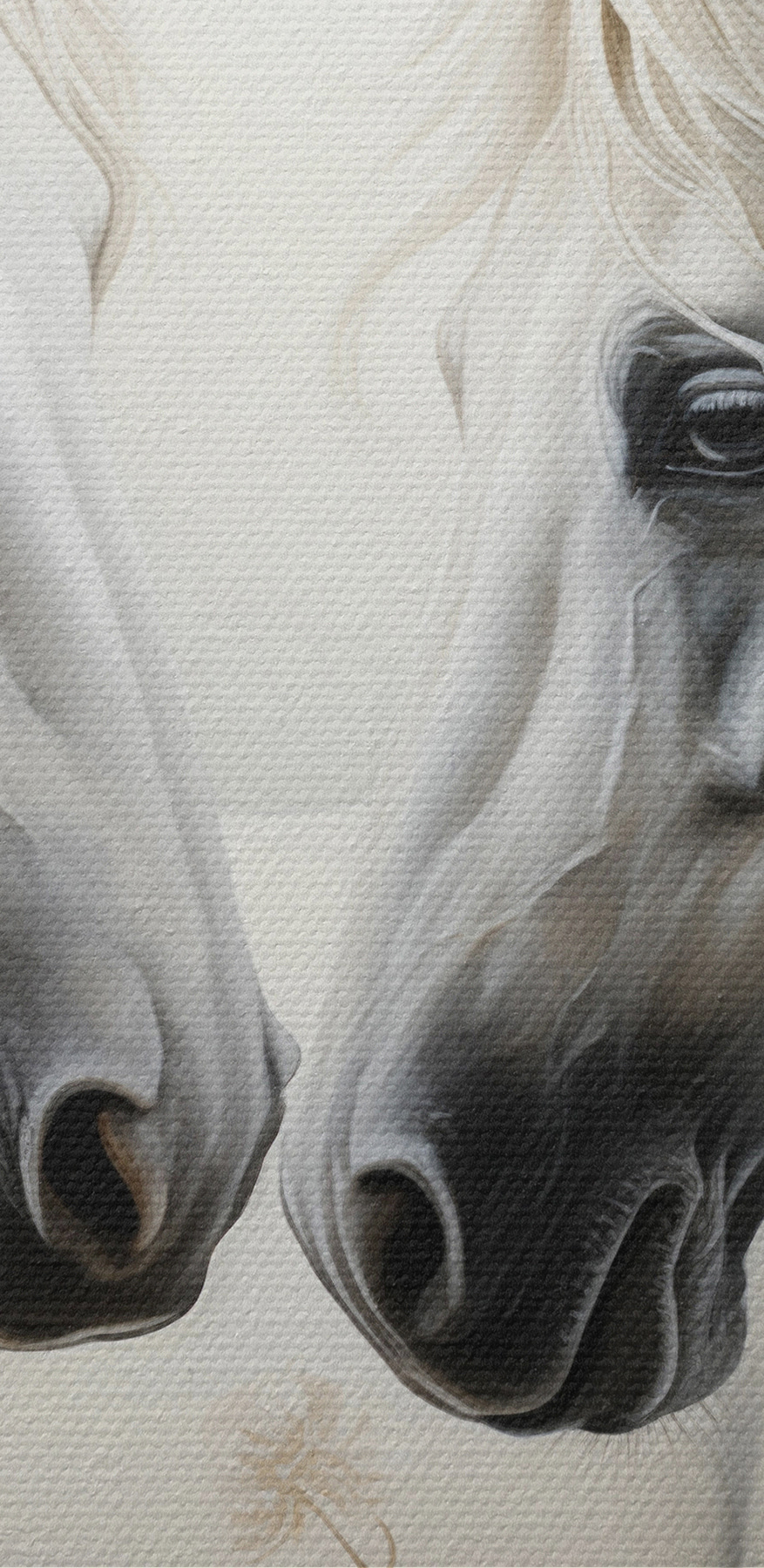 Twee witte paarden met lange manen