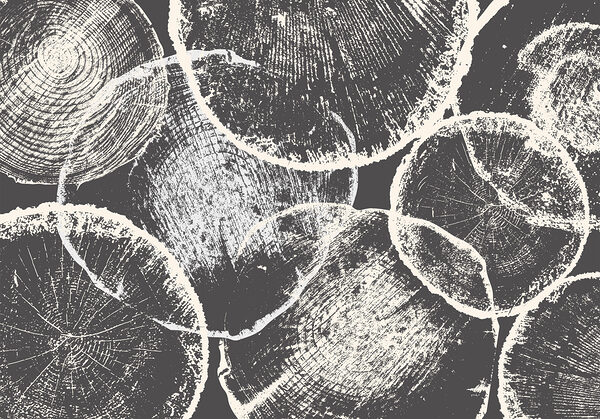 Group of circles on a gray background