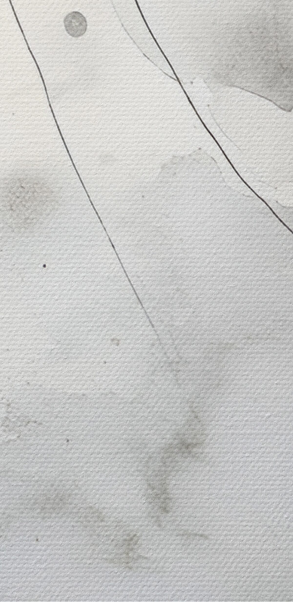 Witte en grijze achtergrond Witte en grijze achtergrond