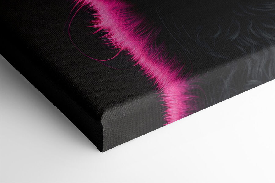 Zwarte kat met roze haar