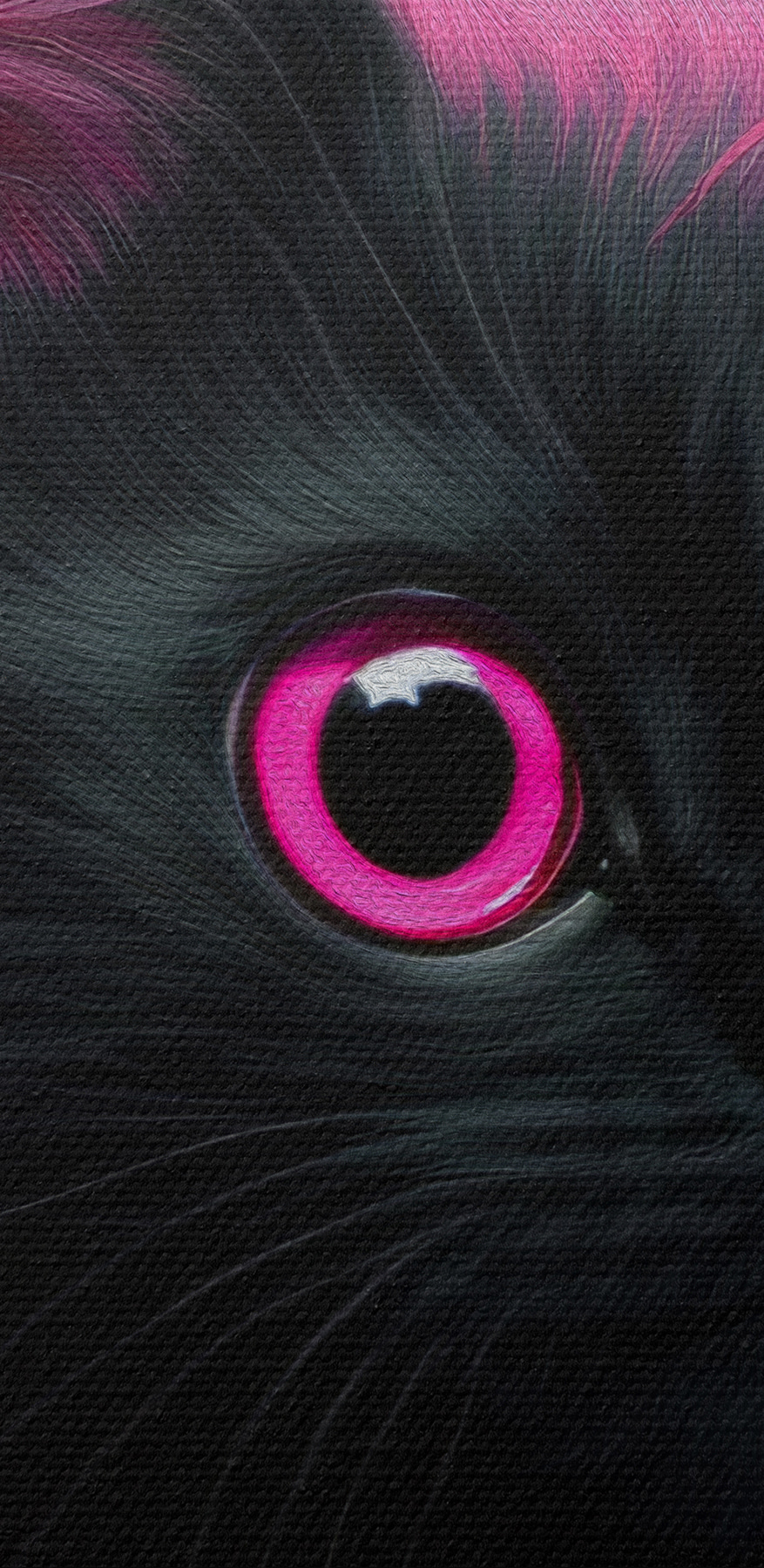 Zwarte kat met roze haar