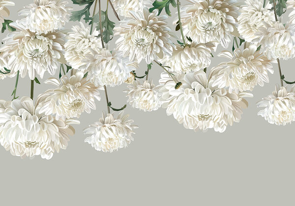 Groep witte bloemen Groep witte bloemen