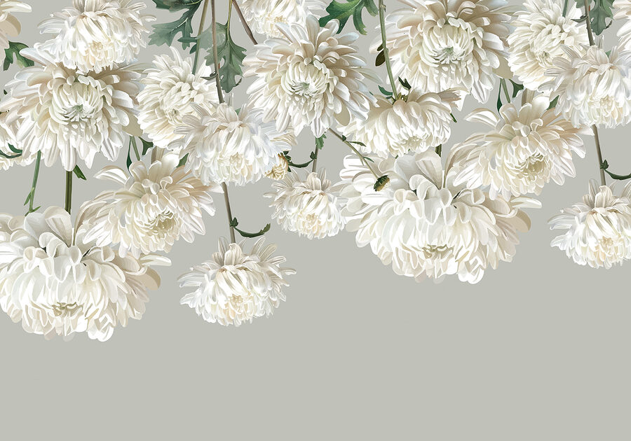 Groep witte bloemen