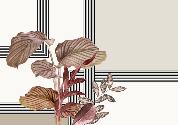 Plant met bruine bladeren Plant met bruine bladeren