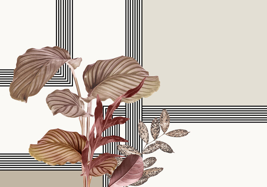 Plant met bruine bladeren