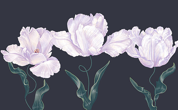 Rij witte bloemen met groene bladeren Rij witte bloemen met groene bladeren