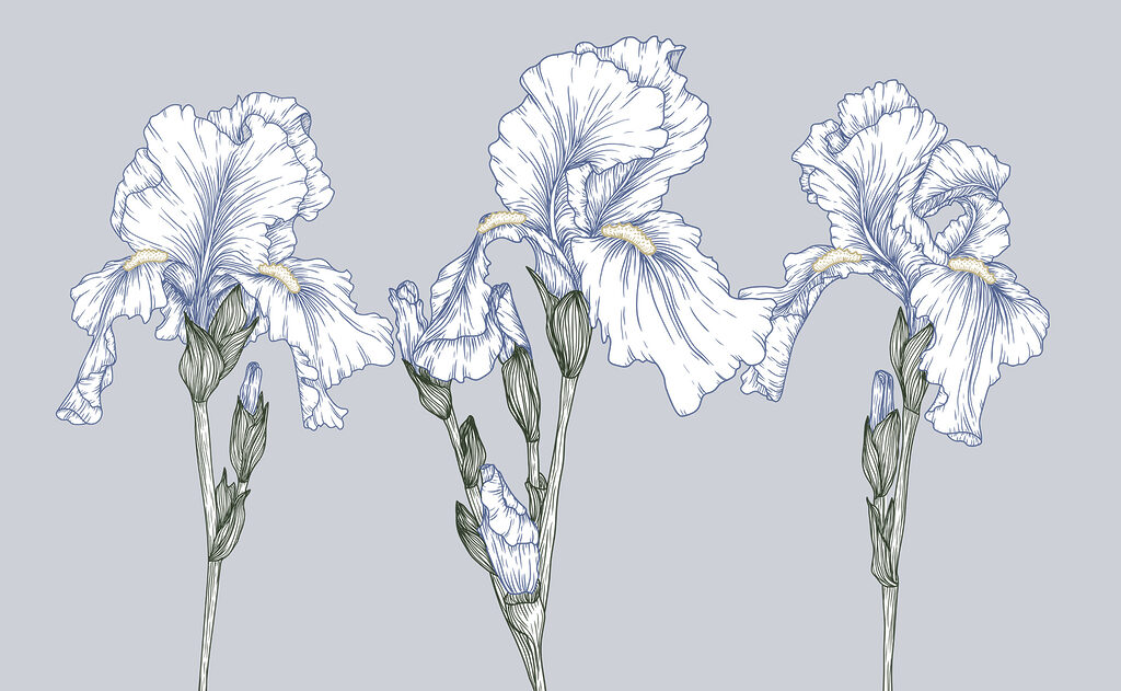 Groep witte bloemen Groep witte bloemen