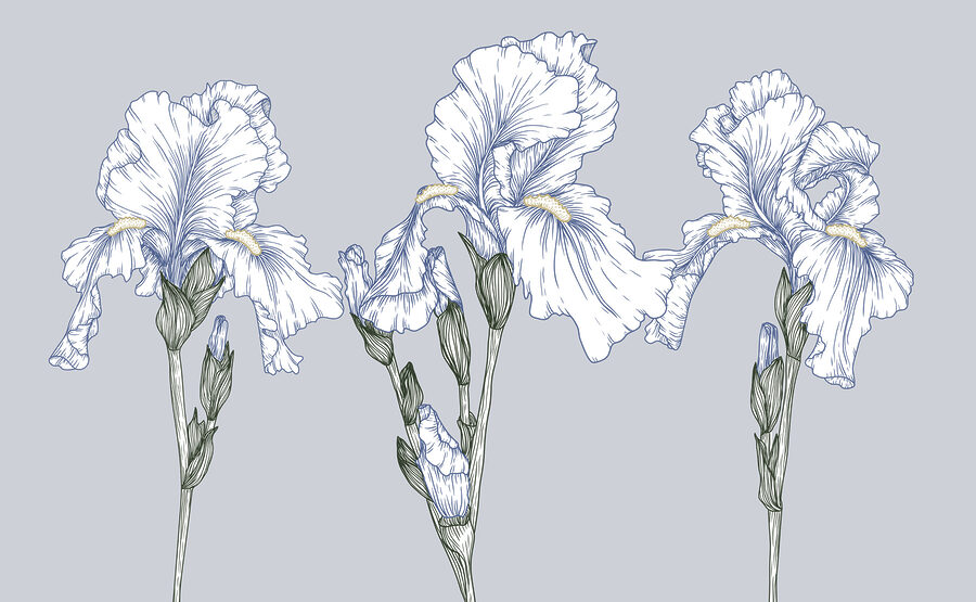 Groep witte bloemen Groep witte bloemen