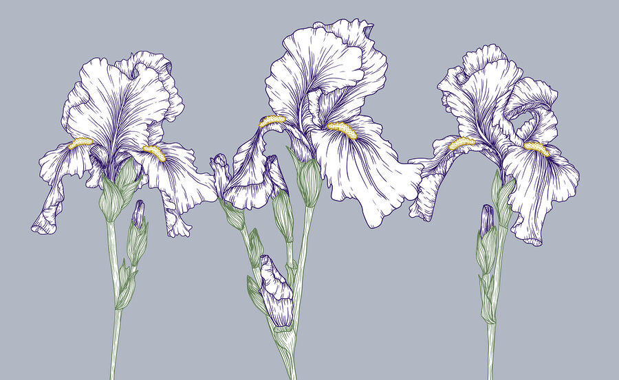 Groep witte bloemen