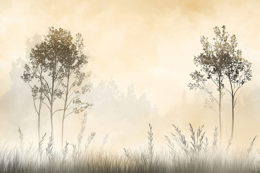 Mistig landschap met bomen en gras