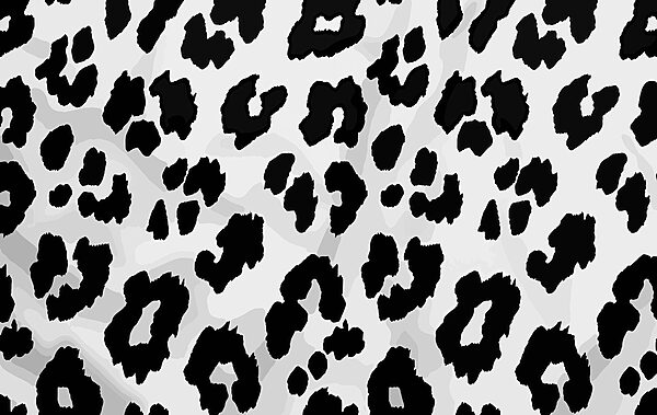 Close-up van een zwart-witte dierenhuid Close-up van een zwart-witte dierenhuid