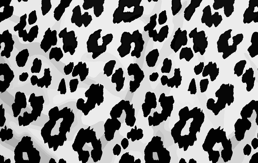 Close-up van een zwart-witte dierenhuid