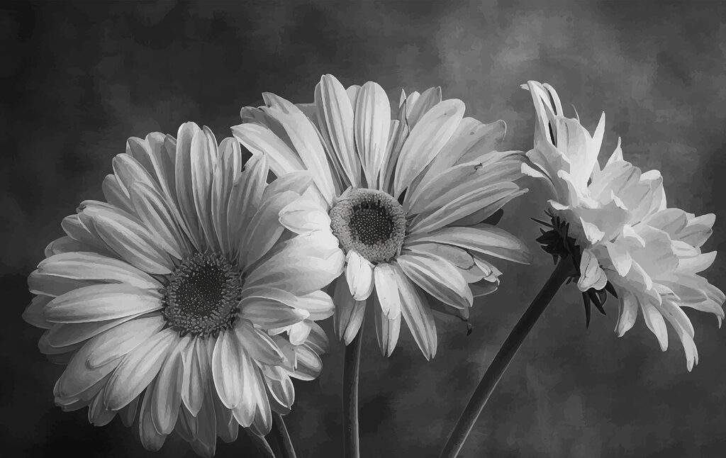 Groep bloemen met bloemblaadjes Groep bloemen met bloemblaadjes