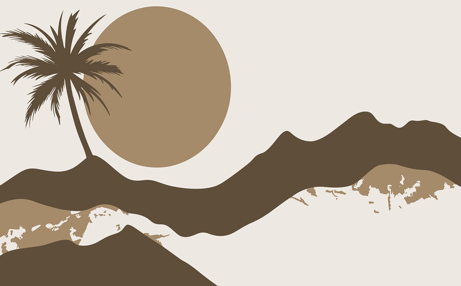 Palmboom en zon