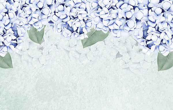 Groep witte bloemen met groene bladeren Groep witte bloemen met groene bladeren