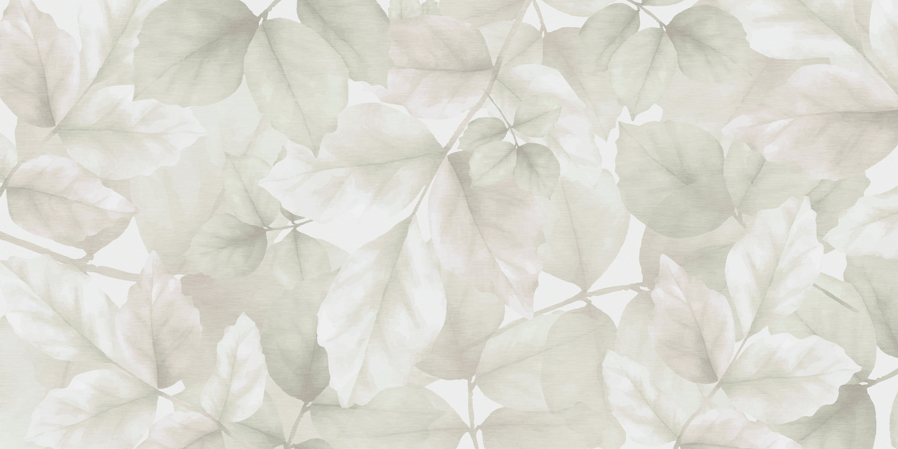 Close up of leaves
