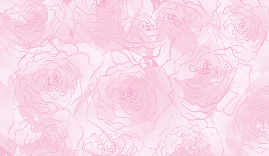 Roze rozen op een witte achtergrond