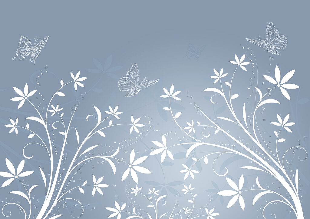 Witte bloemen en vlinders op een blauwe achtergrond Witte bloemen en vlinders op een blauwe achtergrond