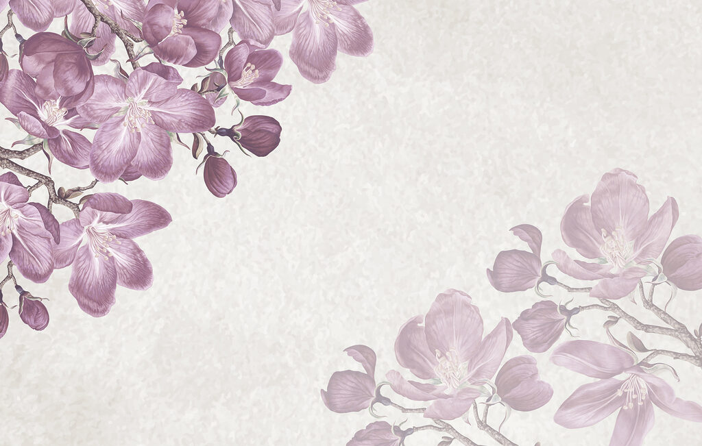 Paarse bloemen op een witte achtergrond Paarse bloemen op een witte achtergrond