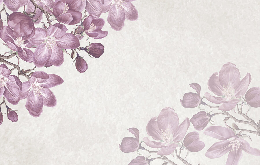Paarse bloemen op een witte achtergrond