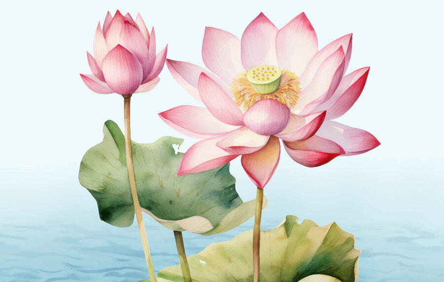 Close-up van een bloem