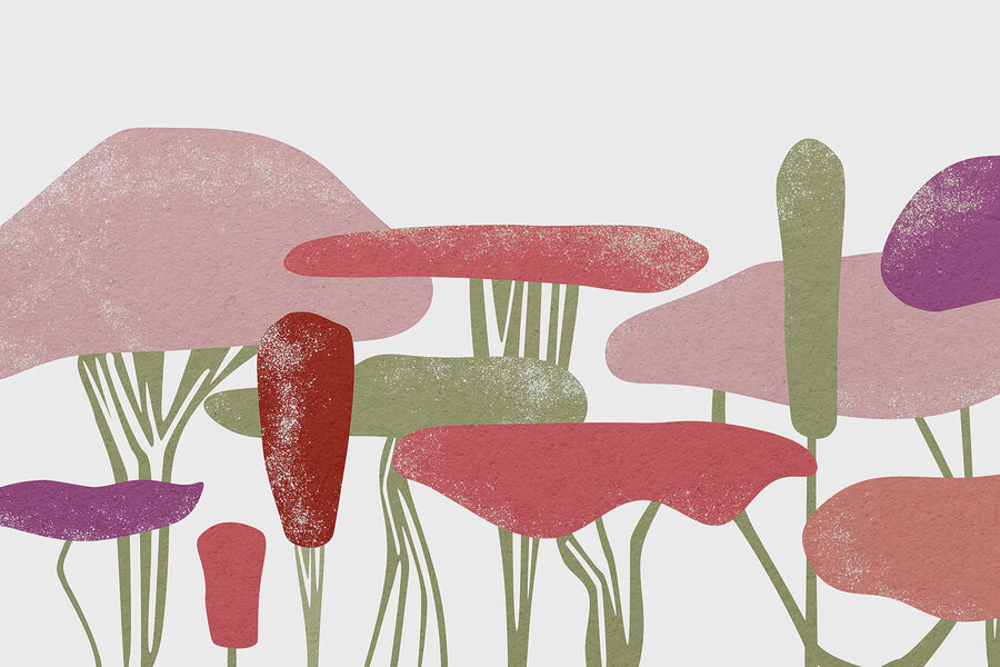 Groep kleurrijke planten