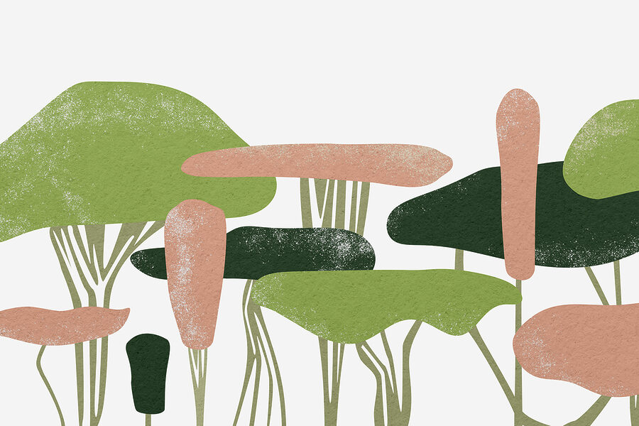 Groep bomen met groene en roze bladeren