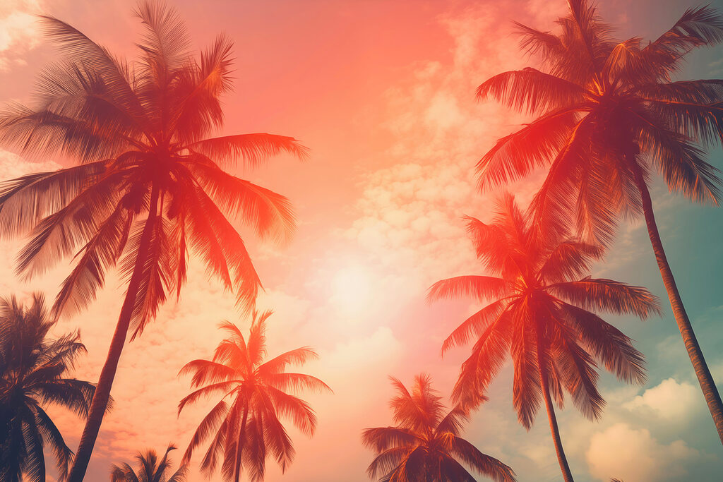 Palmbomen tegen een roze lucht Palmbomen tegen een roze lucht