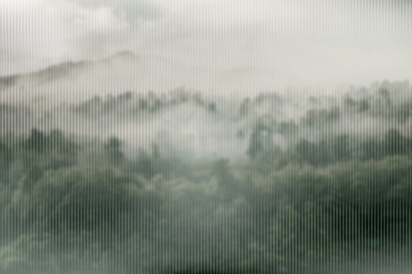 Mistig bos met bomen Mistig bos met bomen