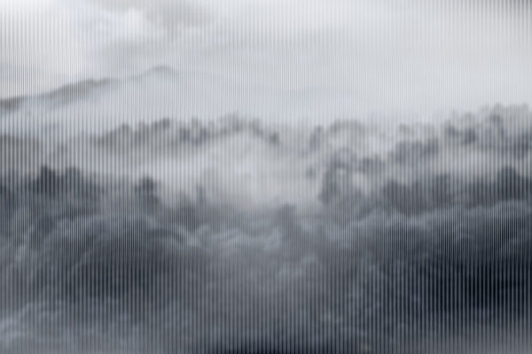 Mistig landschap met bomen Mistig landschap met bomen