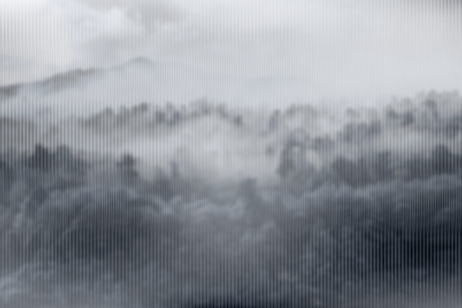 Mistig landschap met bomen