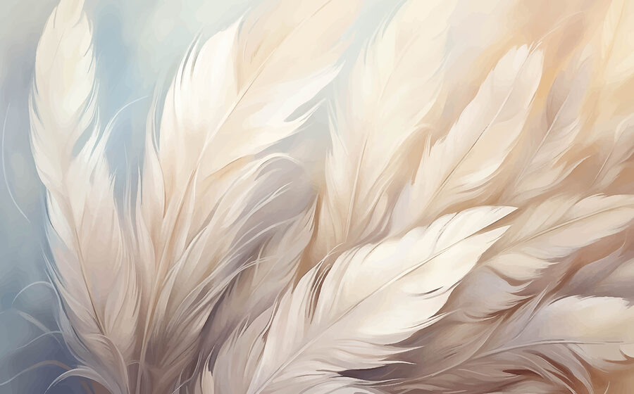 Close-up van veren