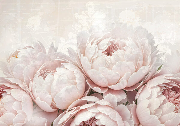 Groep roze bloemen Groep roze bloemen