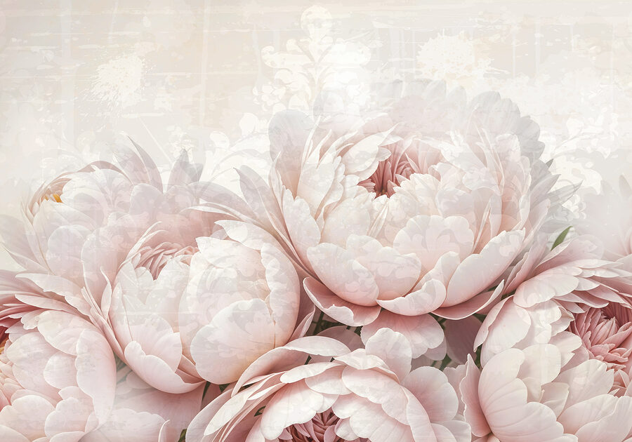 Groep roze bloemen