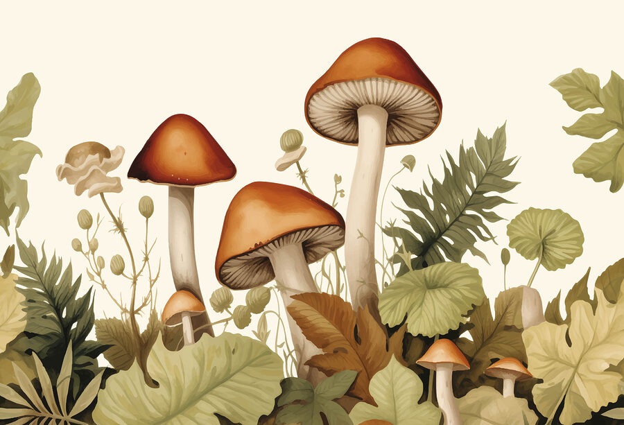 Groep paddenstoelen met bladeren