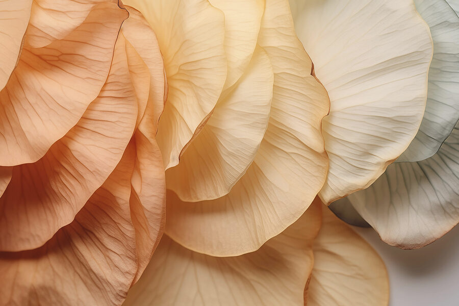 Close-up van een bloem
