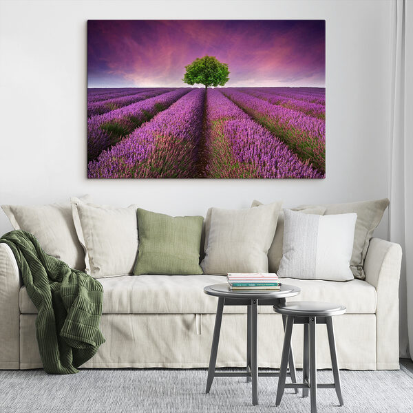Boom in een lavendelveld Boom in een lavendelveld