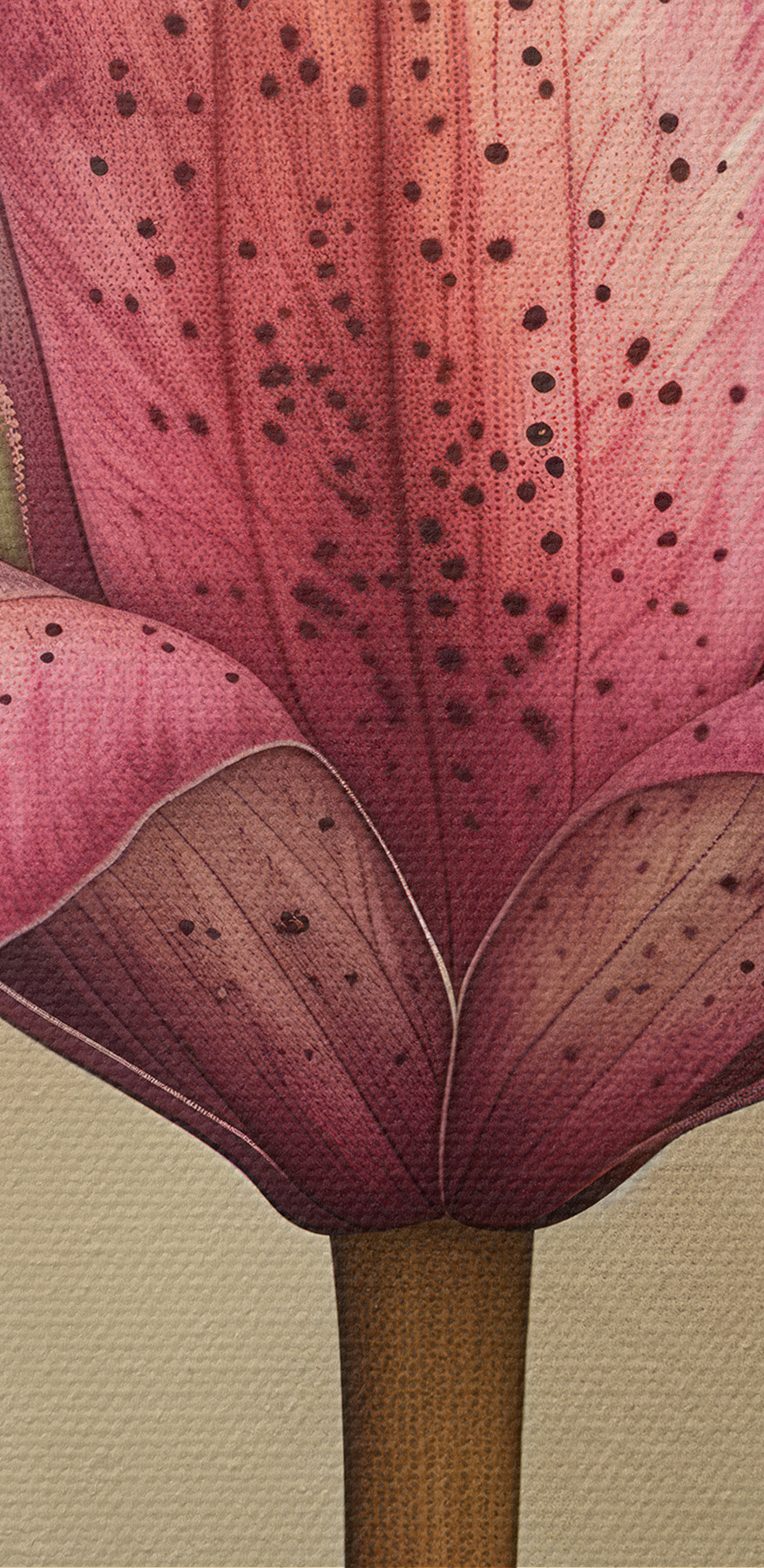 Close-up van een bloem