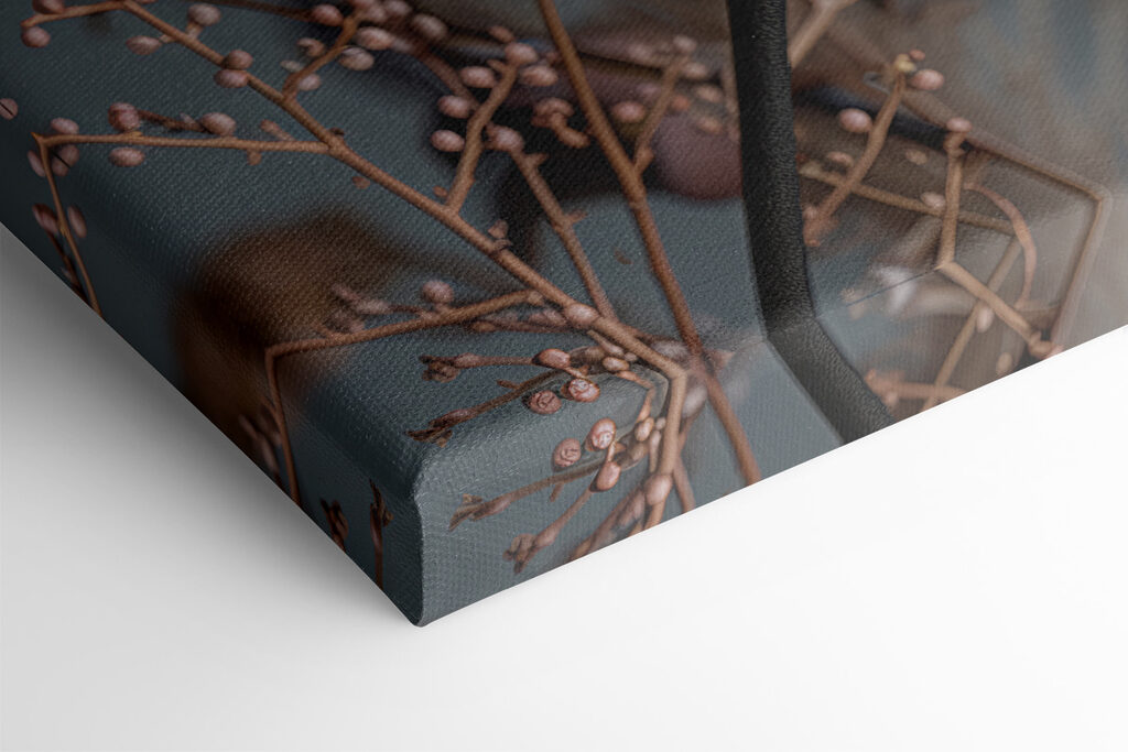 Black flower with white flowers