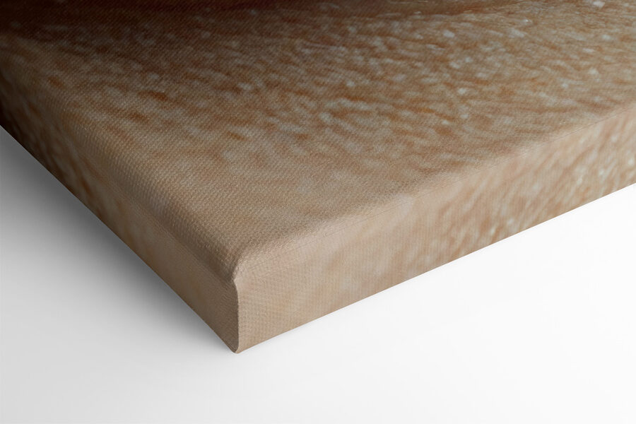 Close-up van een oog