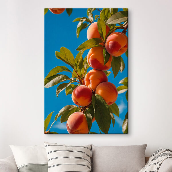 Groep perziken op een boom Groep perziken op een boom