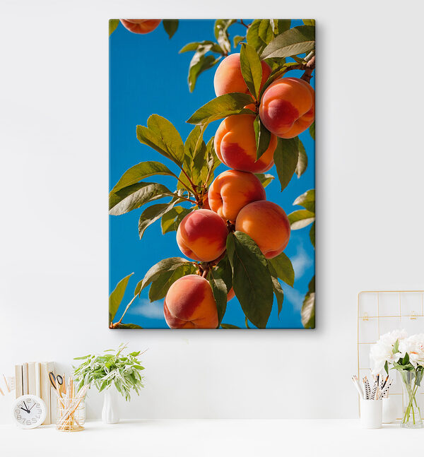 Groep perziken op een boom Groep perziken op een boom
