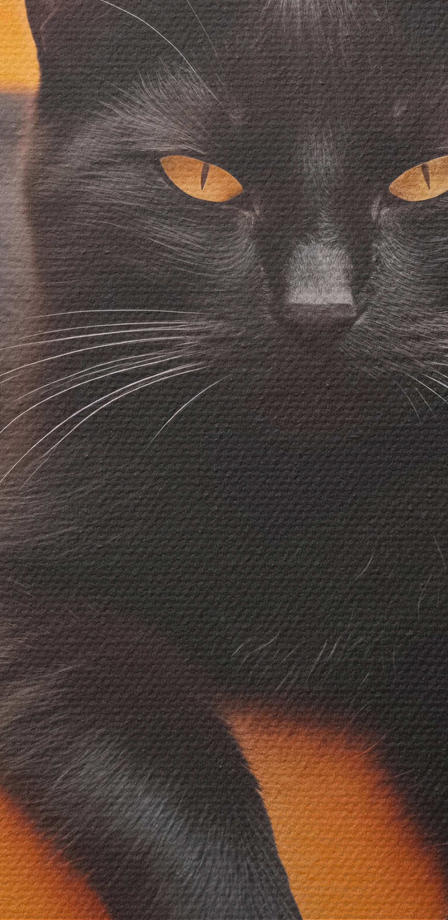 Zwarte kat liggend op een trap