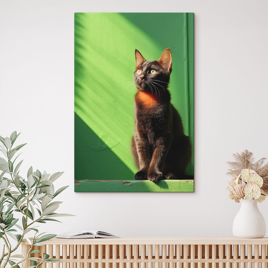 Kat zittend op een stoel
